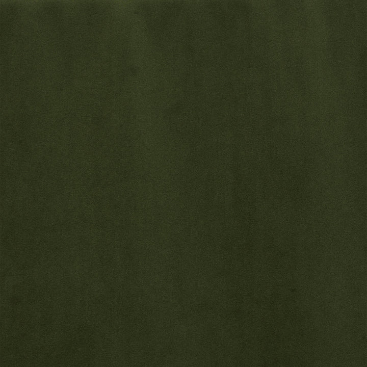 Clearance Alvar Velvet Chive Fabric